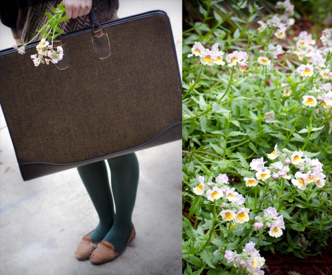Portfolios and Flowers 