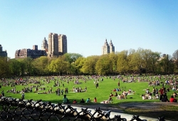 NYC Cultural Festivals That Will Transport You To Another Country