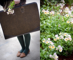 Portfolios and Flowers 