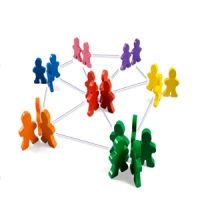 Network, Network, Network 
