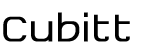 Cubitt artists