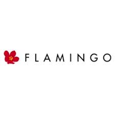 Flamingo international